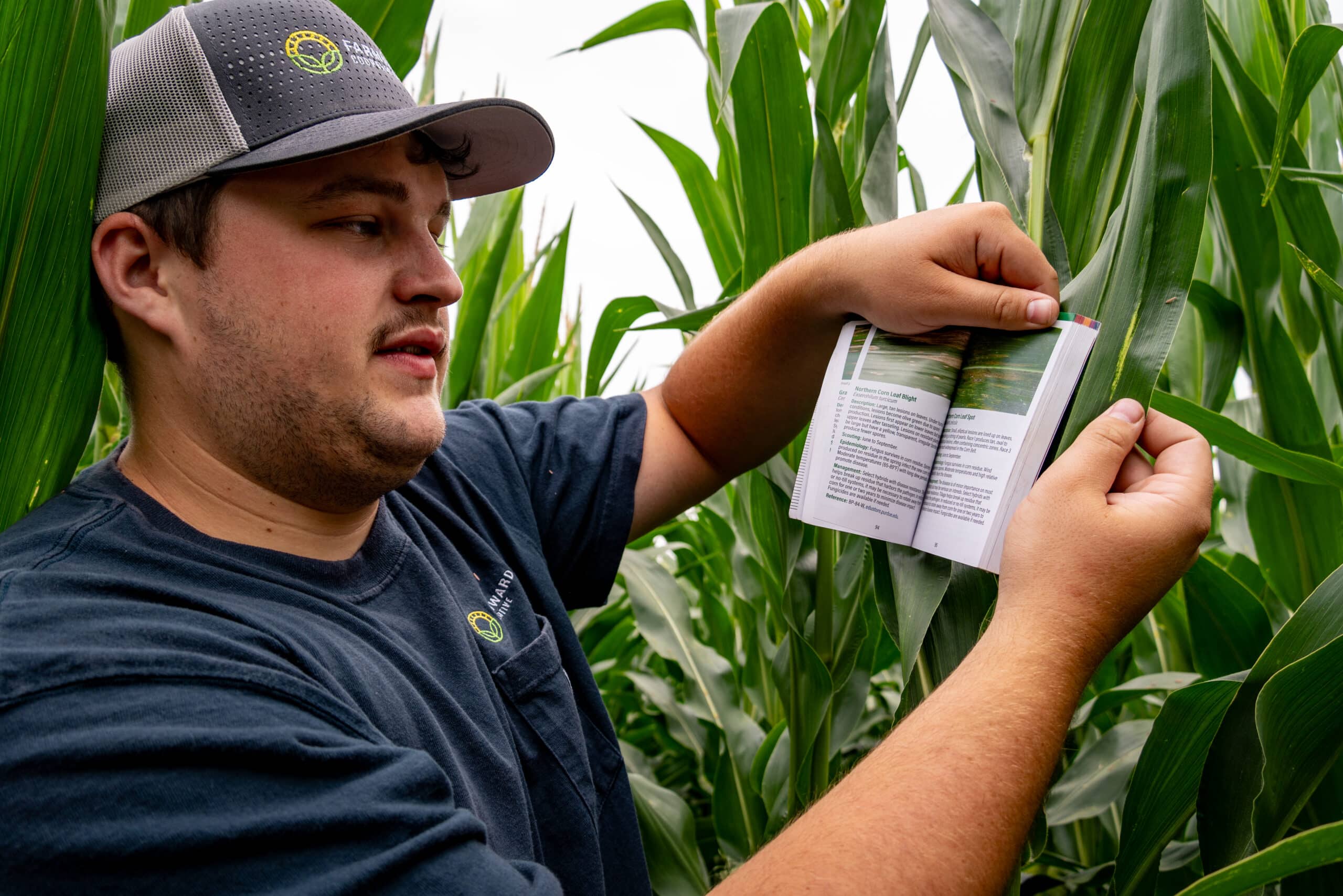 Agronomist looking at crop and booklet