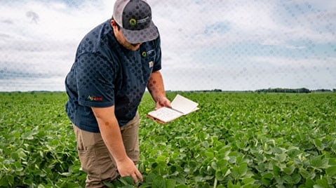 agronomy services man in cornfield