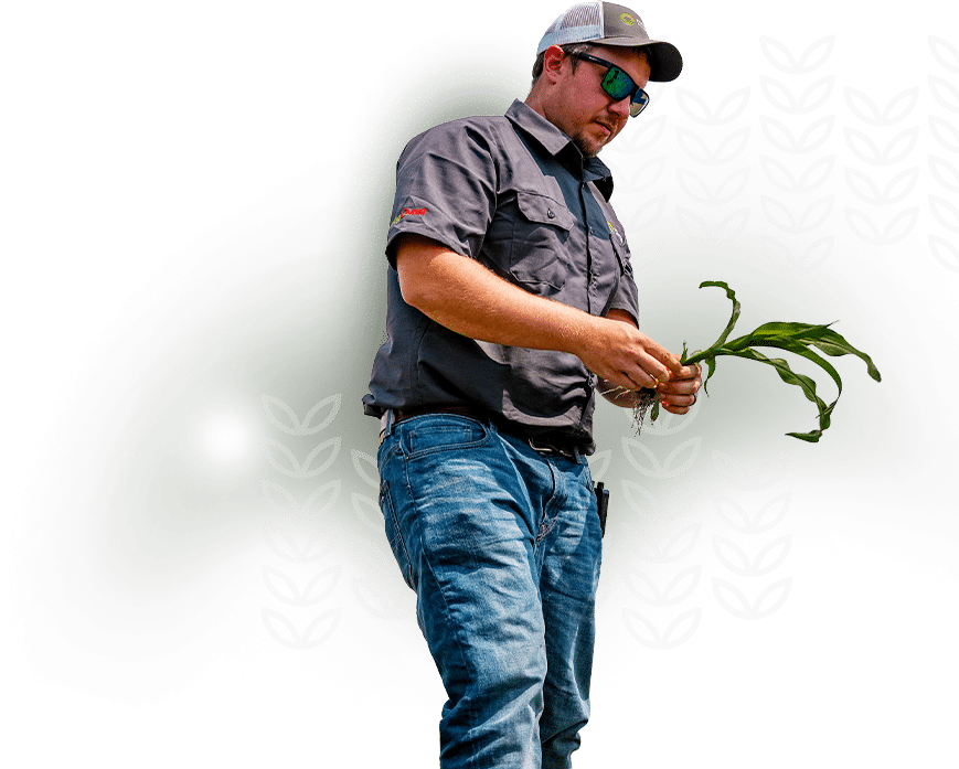 farmward employee cutout