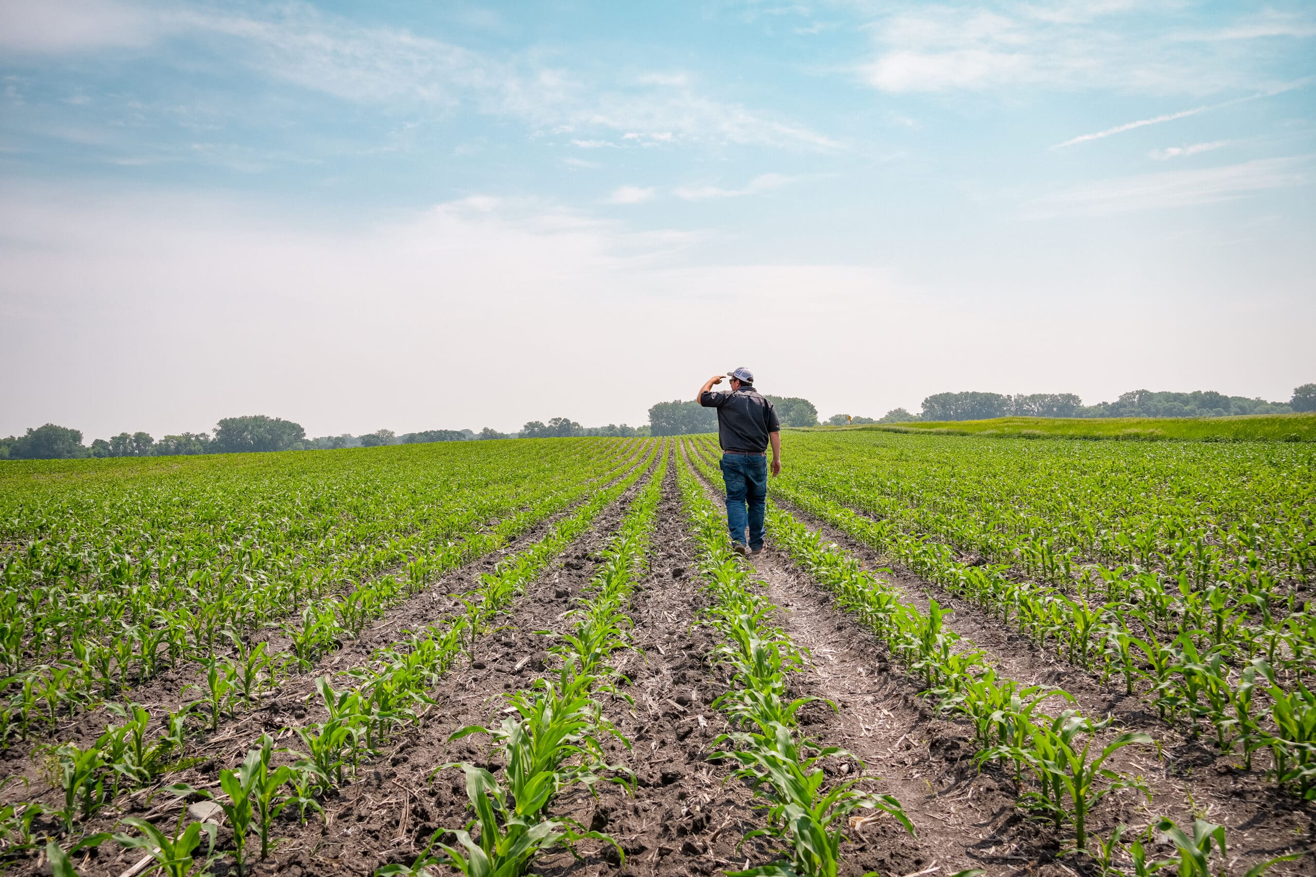 agronomist walking in field