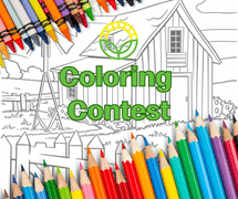 coloring contest post