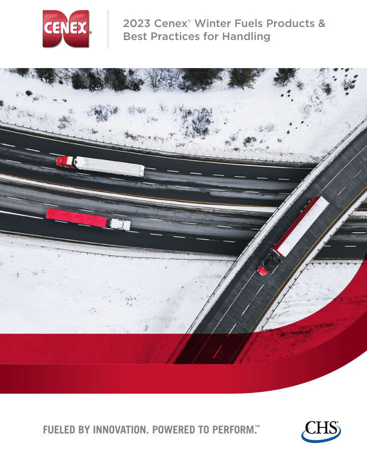 winter fuels products infographic flyer