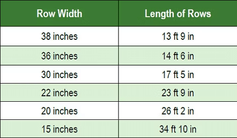 corn stand guide