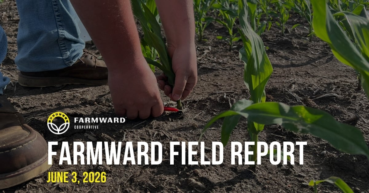 Farmward Field Report June 3, 2026