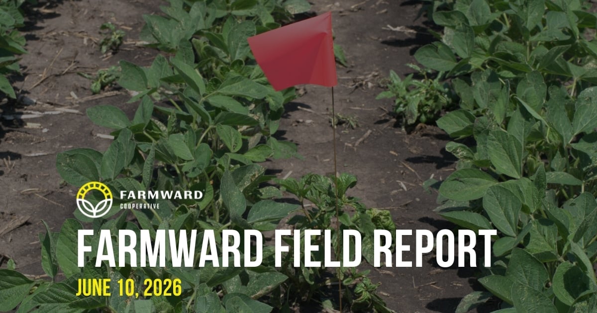 farmward field report - june 10, 2026