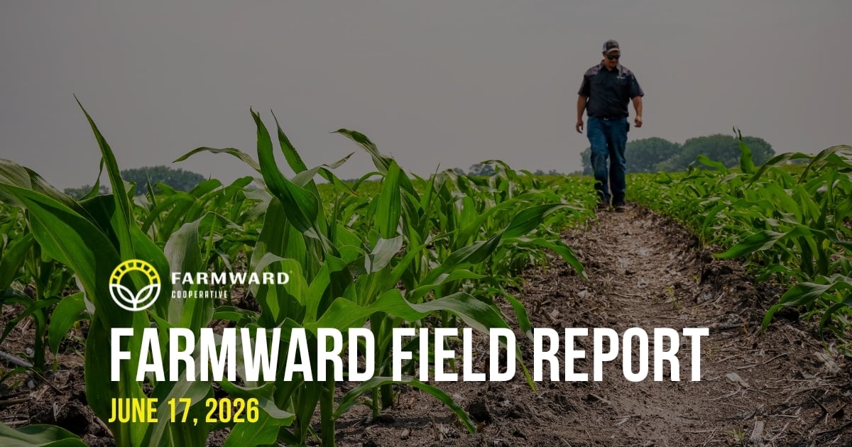 Farmward Field Report June 17