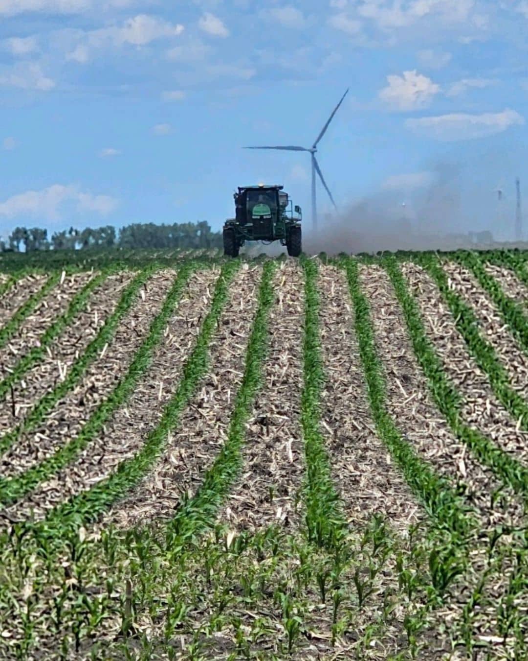 top dress urea