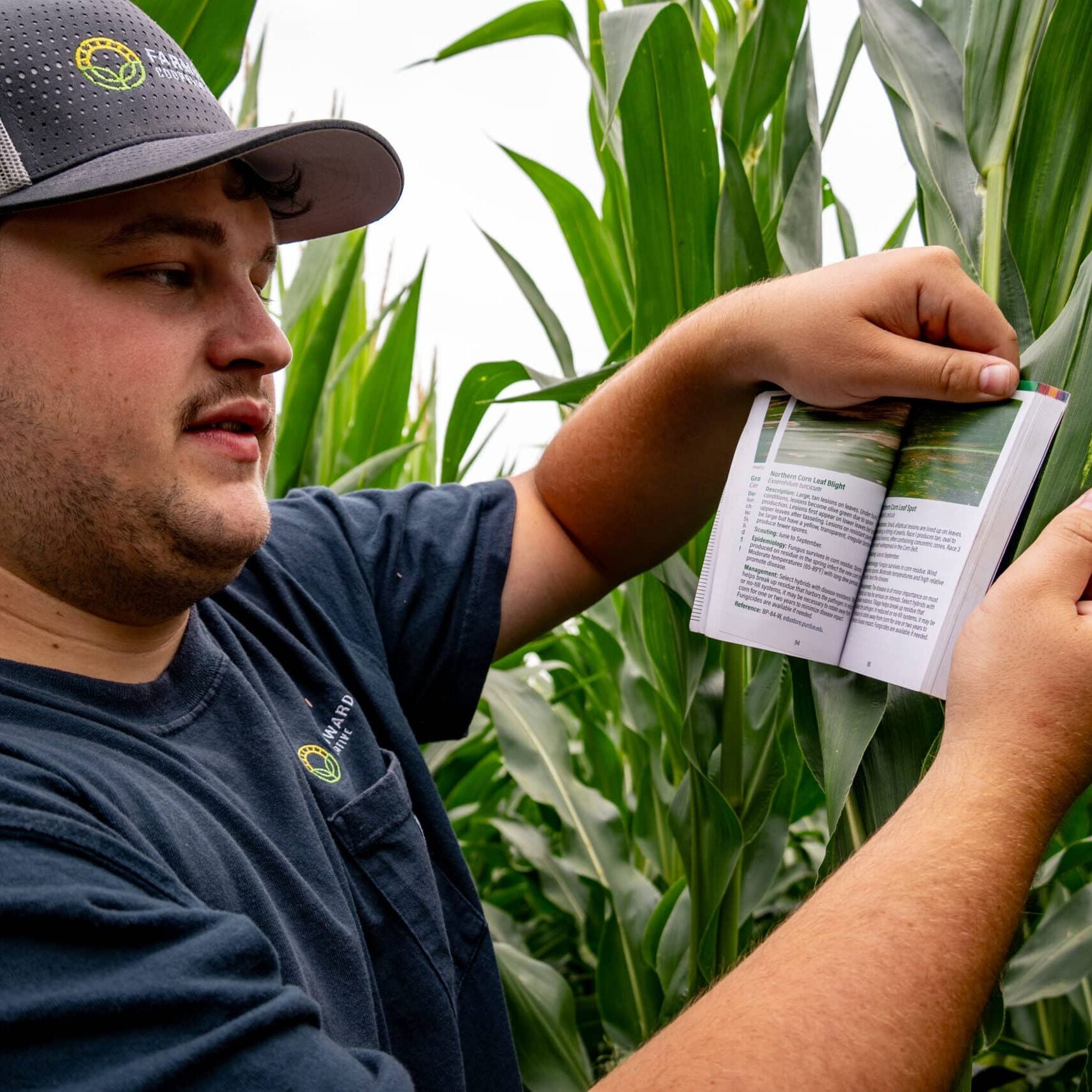 Agronomist looking at crop and booklet