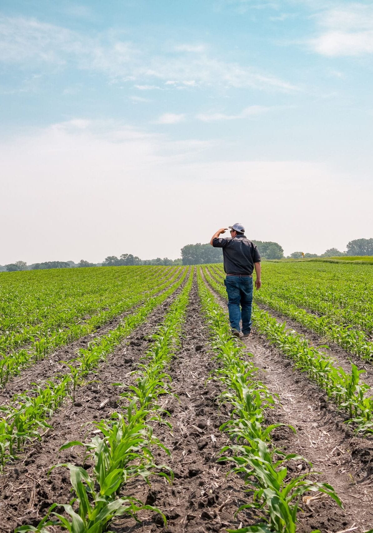 agronomist walking in field
