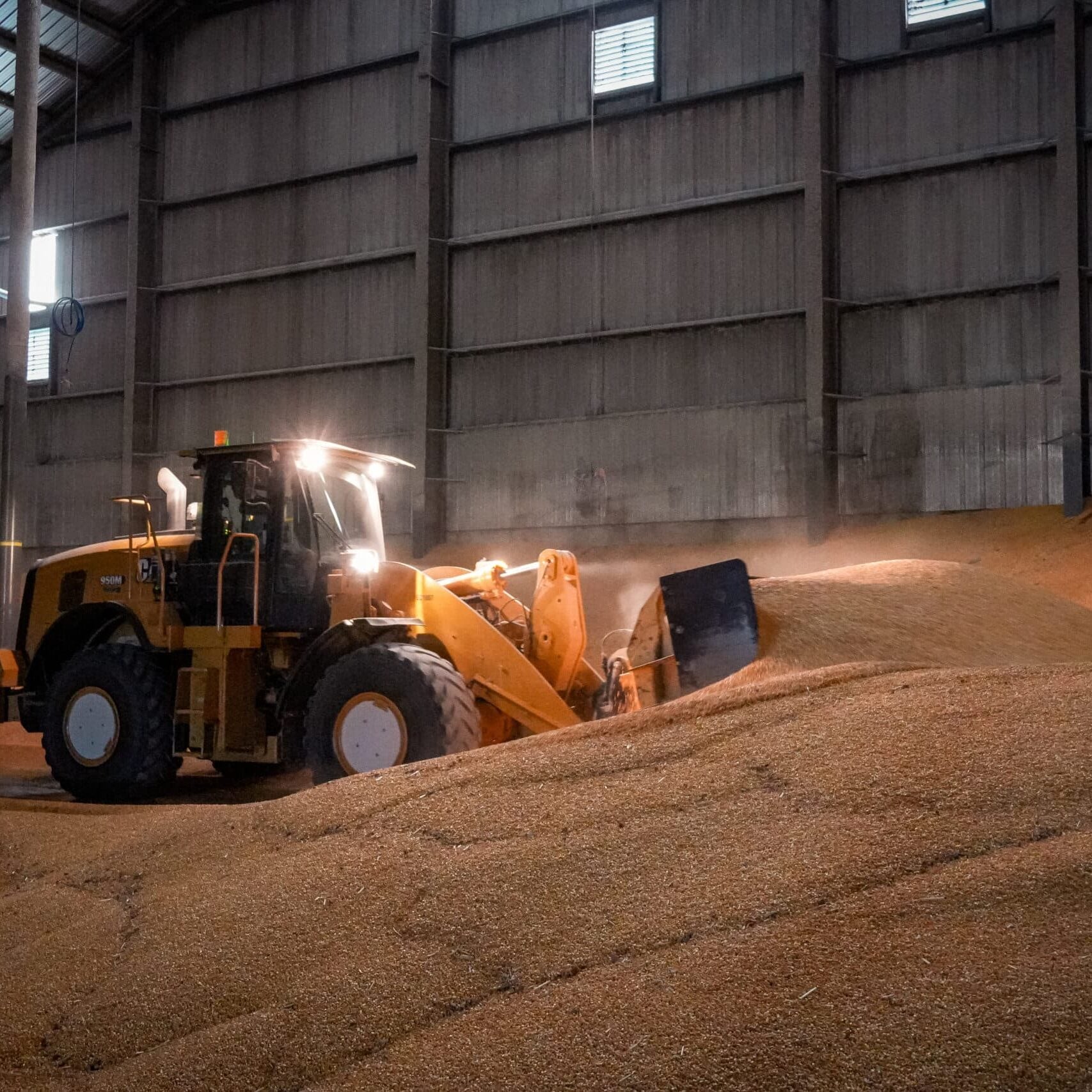 cat tractor picking up grain