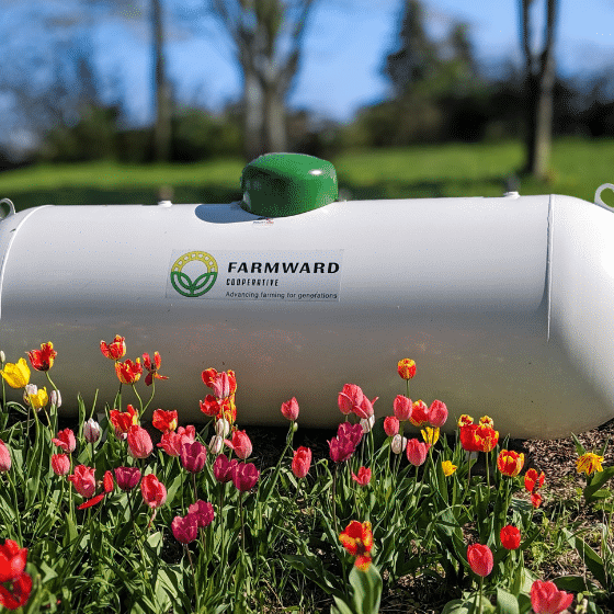 flower in a green field with a farmward container