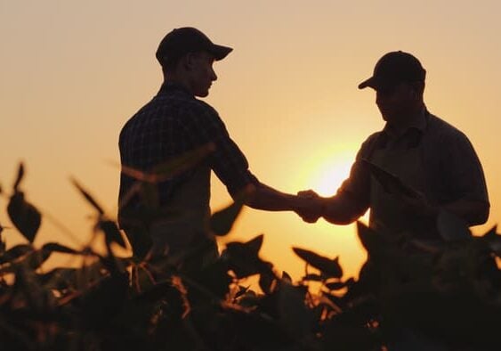 handshake