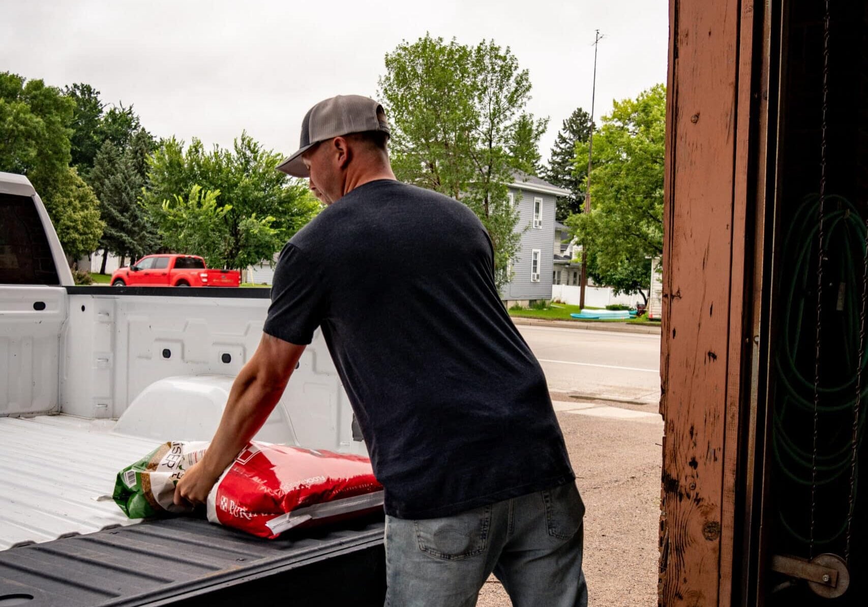 farmward employee loading feed into a truck