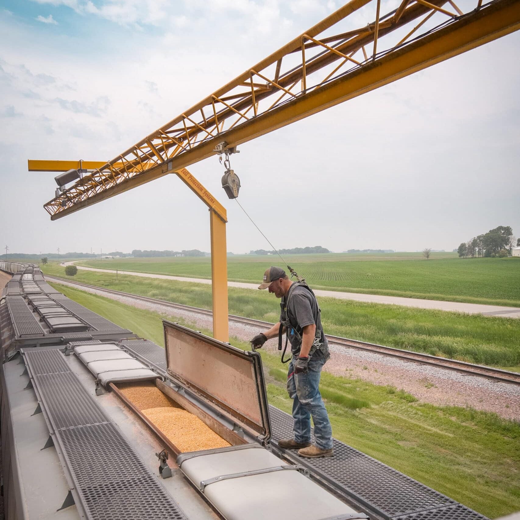 farmward employee loading the train full of grain
