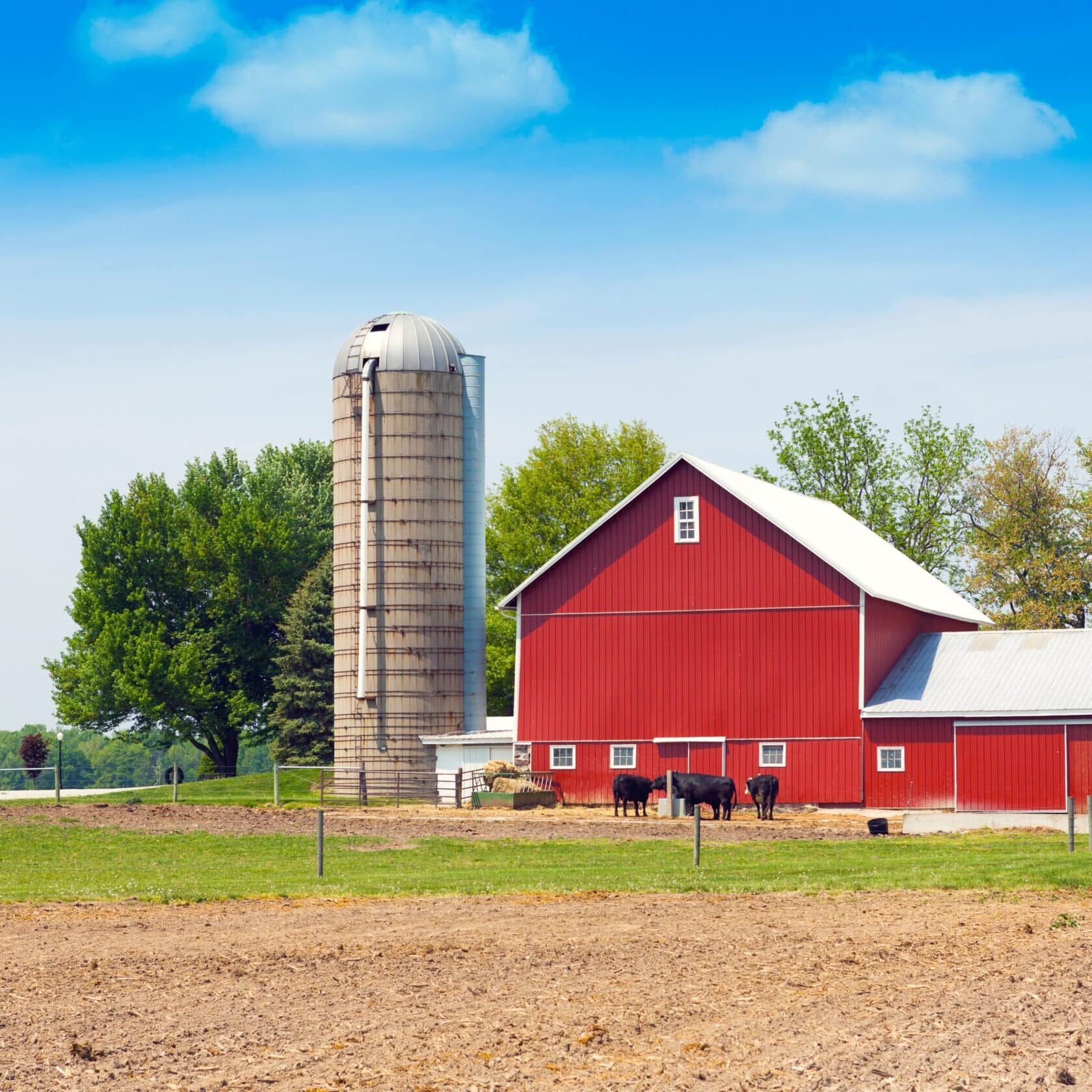 american farmland with blue cloudy sky